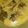 Cooksnap dari Tita Zaky untuk resep Gulai Kapalo Ikan A.k.a Gulai Kepala Ikan (Gurame)