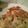 fervorflame's cooksnap of when they made Vickys Potato and Vegetable Shapes, GF DF EF SF NF.
