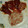El cooksnap de Vicenta cuando hizo Pimientos del piquillo rellenos de carne.