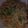 El cooksnap de Sofi Oviedo cuando hizo Fideos con verduras salteadas y pollo.