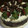 El cooksnap de Rominita cuando hizo Torta de chocolate con frutillas y crema chantillí.
