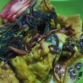 Cooksnap dari yeni vera untuk resep Mujaer bumbu kuning kemangi