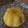 Cooksnap dari ukufnazar untuk resep Puding Labu Spesial