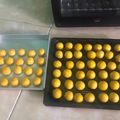 Cooksnap dari Anifah Nurzairina untuk resep Nastar Full Butter Wijsman Glowing