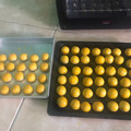 Cooksnap dari Anifah Nurzairina untuk resep Nastar Full Butter Wijsman Glowing