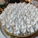 El cooksnap de Estefany cuando hizo Lemon pie.