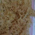 Cooksnap dari Linx - L untuk resep Keremes kriuk kriuk