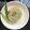Cooksnap của Nguyễn Thuỵ Chi Anh khi họ làm theo món Xôi đậu phộng