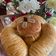 Cooksnap của Minh Hayes khi họ làm theo món Bánh mì cuộn len