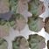 Cooksnap dari Sumilah untuk resep Meringue Cookies