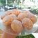 El cooksnap de Prinuria cuando hizo Galletas de limón.