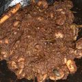 Cooksnap dari Fransisca Rosadi untuk resep Rendang Lokan Pakis