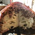Mezei Virág Cooksnap-ja, amikor elkészítette a(z) Bacon szalonnában sült karfiol bomba receptet.