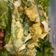 Cooksnap dari Lina untuk resep Kabocha & Broccoli Mayones Salad