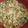 El cooksnap de Perla Millán cuando hizo Calabacitas con crema.
