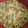 El cooksnap de Perla Millán cuando hizo Calabacitas con crema.