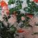 Cooksnap dari Jumaila untuk resep Sayur Bobor Kangkung Tempe #Dandelion