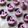 Cooksnap dari Rini untuk resep Silky Pudding Strawberry