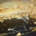 El cooksnap de Noel cuando hizo Lasaña de pollo, carne y jamón y queso.