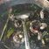 Cooksnap dari nurul novianti untuk resep Cumi Hitam Masak Manado