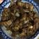 莊儲寧 的 洋蔥炒鹹豬肉 cooksnap