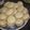 El cooksnap de Analia cuando hizo Alfajores de maicena receta del recetario de maizena.
