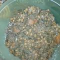 Ofentse Mlotha's cooksnap of when they made Spinach, Liver n Bean pot.