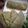 Sumana Mukherjee's cooksnap of when they made পালং চিজ কর্ন পরোটা (palak cheese corn parota recipe in Bengali).