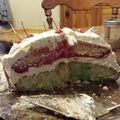 bwardner60's cooksnap of when they made F*** Yes, Jello Cake !.