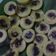 Cooksnap dari aliza untuk resep Kue Lumpur Kentang Mini