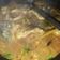 Cooksnap dari Meutia Fazri untuk resep Ikan mas gulai kuning #khas Padang