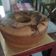 Cooksnap dari yunita untuk resep Marmer cake putih telur lembuttt