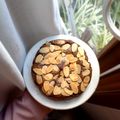 Cooksnap dari juwitadmayanti untuk resep Fudgy Brownies