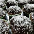 Kitti Drábóczi Cooksnap-ja, amikor elkészítette a(z) Kókuszkocka muffin receptet.