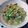 Cooksnap dari tunjungsari untuk resep Cah Tatsoi Daging