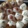 Cooksnap dari Nafisa Andriani untuk resep Apem jawa menul anti gagal
