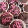 Cooksnap dari Aditia’s kitchen untuk resep easy peasy eggless Ovaltine Muffin