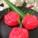 Cooksnap dari Dhee untuk resep Kue Ku