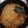 El cooksnap de Juan Francisco Alvarado Barahona cuando hizo Espagueti con pollo.