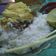Cooksnap dari HIDA MULIYANA untuk resep Nasi Liwet Khas Sunda Pake Rice cooker super gampang