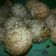 Cooksnap dari Mpop untuk resep Onde onde kacang ijo tanpa kentang #RabuBaru