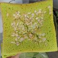 Cooksnap dari Intan Purnama Sari untuk resep Bolu Ketan Putih