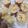 Cooksnap dari Phie Kitchen untuk resep Pão de queijo ~ cheese bread