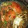 Cooksnap dari Leny Widyawati untuk resep Kepiting saus tiram #BikinRamadanBerkesan