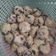 Cooksnap dari Berlian Soewandono untuk resep Bakso ayam jamur
