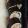 Cooksnap dari Triastuti Yulianingsih untuk resep Mentai Sushi Roll isi Sosis (resep @devinahermawan)