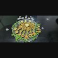 Hinal Dattani's cooksnap of when they made કુંભણિયા ભજીયા (Kumbhaniya Bhajiya Recipe In Gujarati).