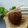 Cooksnap dari Imaami untuk resep Es Coklat Tambah Umur