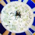 Attila Horvàth Cooksnap-ja, amikor elkészítette a(z) Tarator, hideg Bolgár uborkaleves receptet.