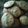 El cooksnap de Noemy Blanco cuando hizo Galletas sencillas.